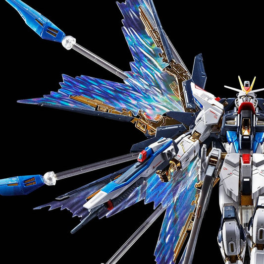 RG 1/144 Strike Freedom Gundam expansion effect unit “Wings of the Sky”
