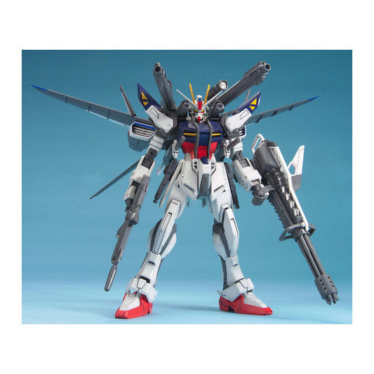 MG 1/100 Gundam Seed Strike E+IWSP Rukas Odnel Use