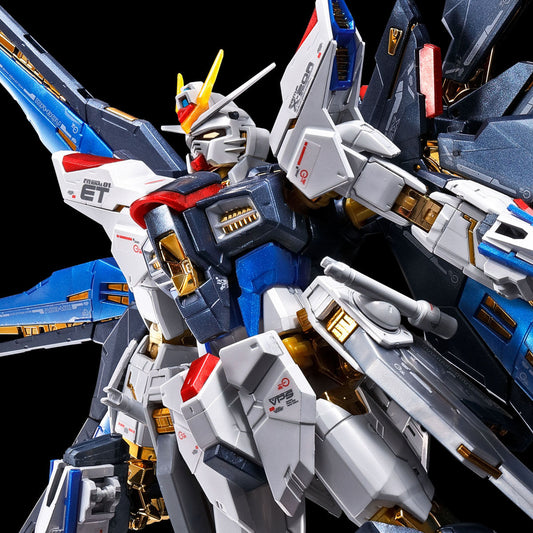 RG 1/144 ZGMF-X20A Strike Freedom Gundam [Titanium Finish]