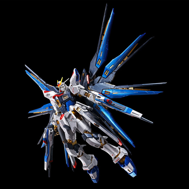 RG 1/144 Strike Freedom Gundam [Titanium Finish]