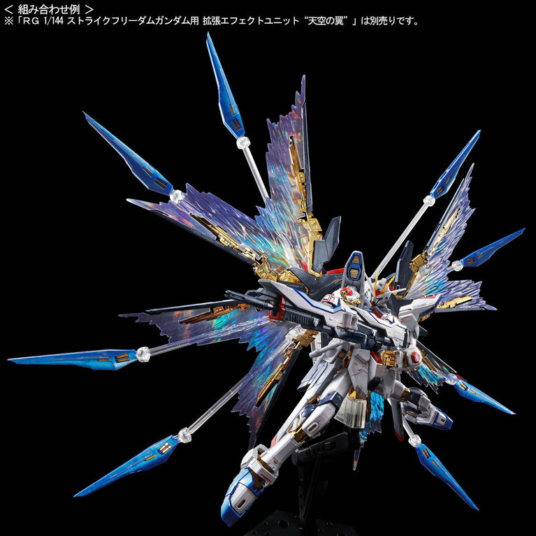 RG 1/144 Strike Freedom Gundam [Titanium Finish]