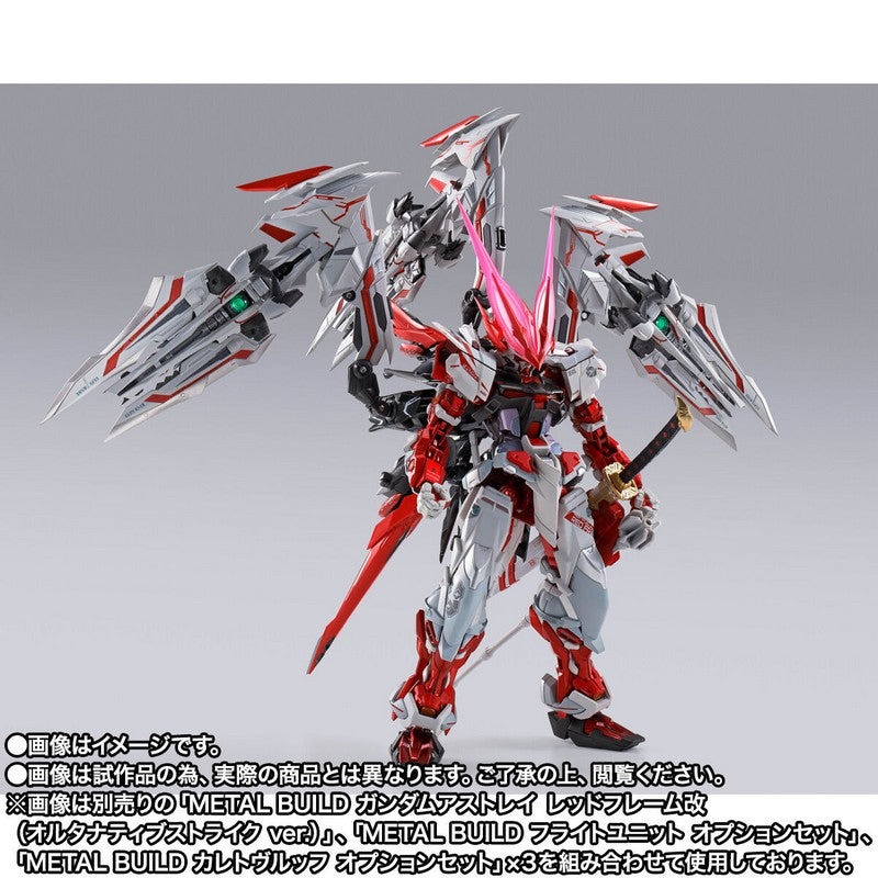 【Apr】METAL BUILD Astray Ddraig Head Option Set