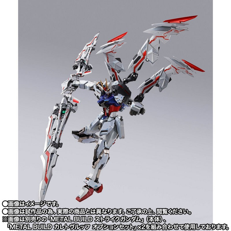 April Release | METAL BUILD Astray Ddraig Head Option Set