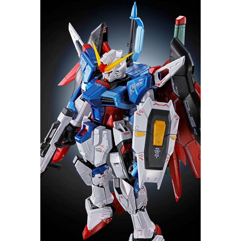 RG 1/144 ZGMF-X42S Destiny Gundam [Titanium Finish]