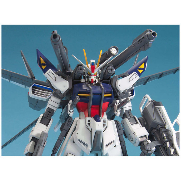 MG 1/100 Gundam Seed Strike E+IWSP Rukas Odnel Use