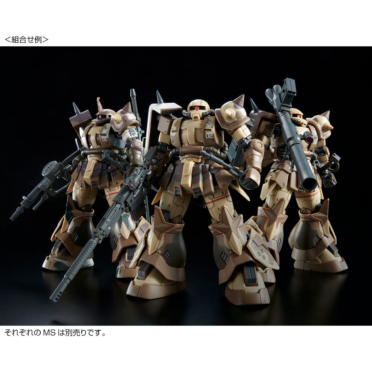 HG 1/144 High Mobility Type Zaku for Ground (Wald machine)