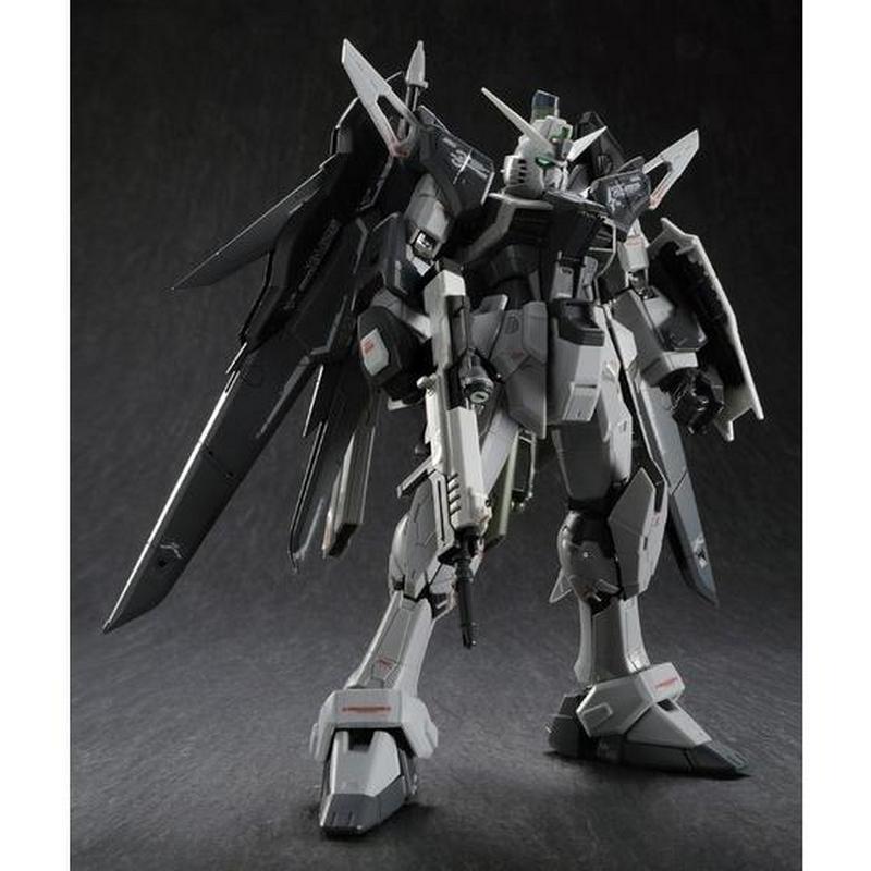 RG 1/144 ZGMF-X42S Destiny Gundam Deactive Mode
