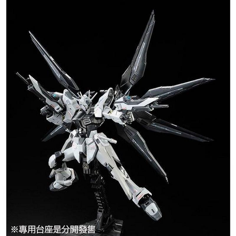 RG 1/144 ZGMF-X20A Strike Freedom Gundam Deactive Mode