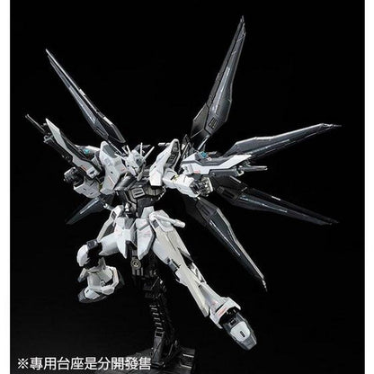RG 1/144 ZGMF-X20A Strike Freedom Gundam Deactive Mode