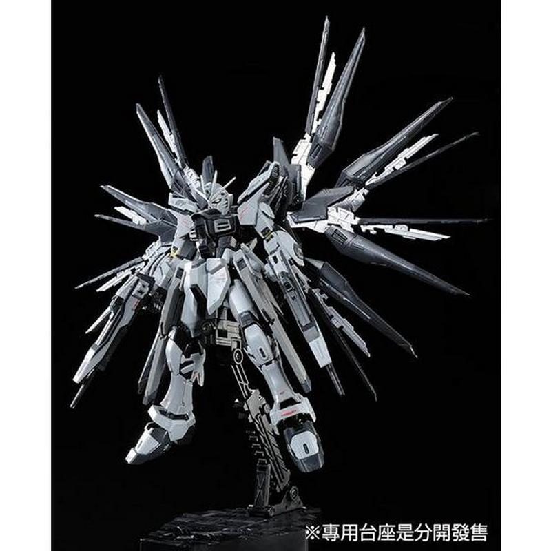 RG 1/144 ZGMF-X20A Strike Freedom Gundam Deactive Mode