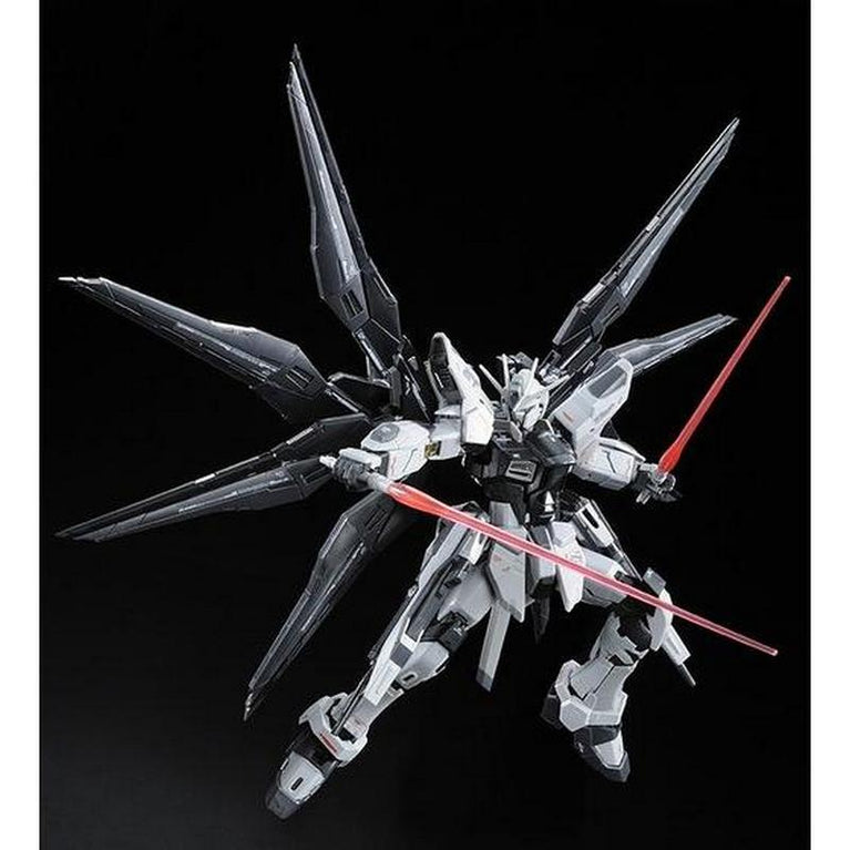 RG 1/144 ZGMF-X20A Strike Freedom Gundam Deactive Mode