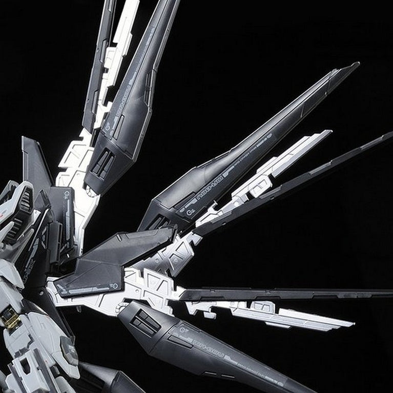RG 1/144 ZGMF-X20A Strike Freedom Gundam Deactive Mode