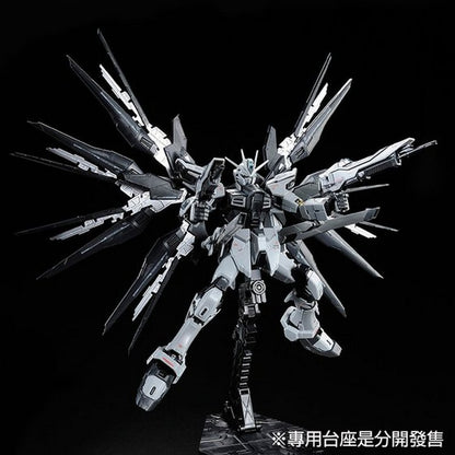 RG 1/144 ZGMF-X20A Strike Freedom Gundam Deactive Mode