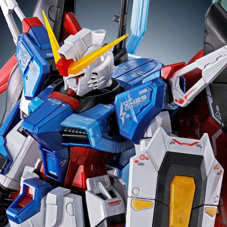 RG 1/144 ZGMF-X42S Destiny Gundam [Titanium Finish]