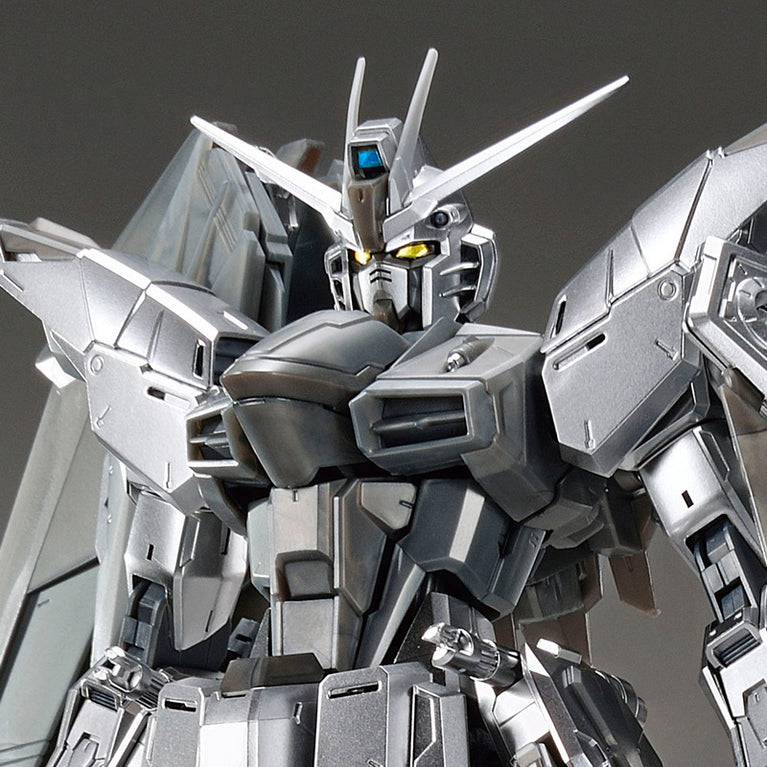 MG 1/100 The Gundam Base Limited Freedom Gundam Ver.2.0 [Silver Coating]